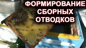 Сборные отводки. Как сделать отводок.