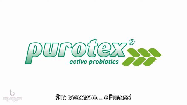 PUROTEX: Обработка ткани матраса активными пробиотиками смотреть онлайн