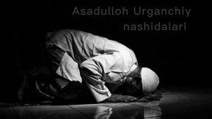 Sygani Dunyodir Yayoti Uyqu/Asadulloh Urganchiy