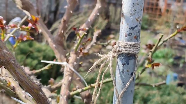 Надежная опора для штамба своими руками. смотреть онлайн