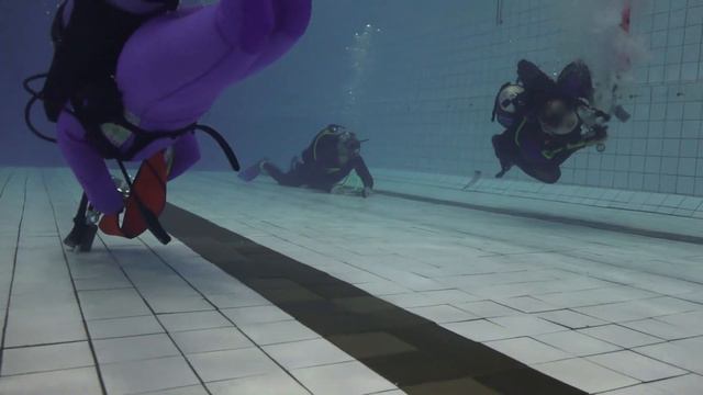 Чемпионат Камчатского края по подводному спорту 26.05.2018 г. смотреть онлайн