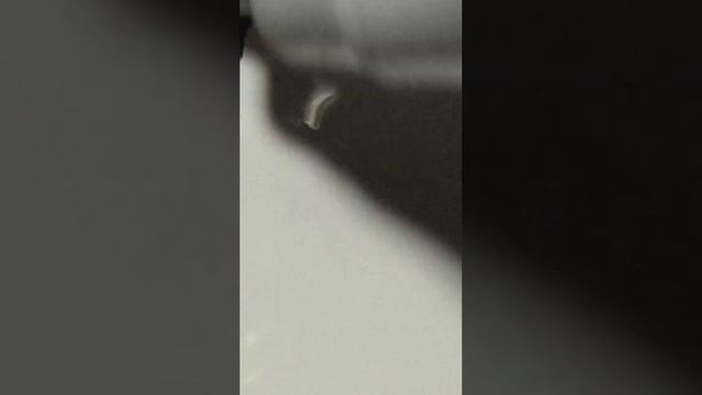 замазка смотреть онлайн