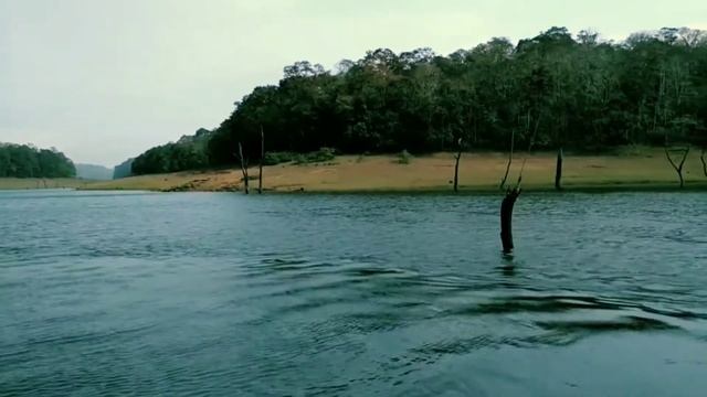 Periyar tiger reserve and national park, Thekkady | periyar wildlife sanctuary | kerala || смотреть онлайн