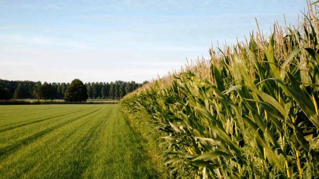 Профессия: агроном смотреть онлайн