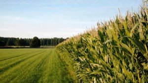 Профессия: агроном