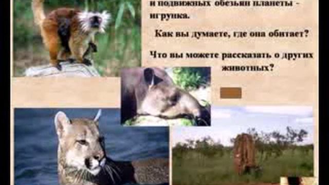 Южная америка смотреть онлайн