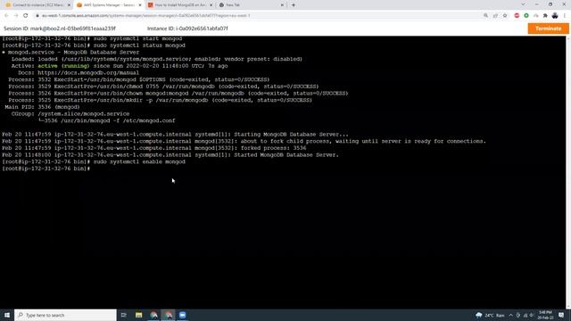 How to Install MongoDB on Amazon Linux 2 ( Recorded in 2022 in New layout ) смотреть онлайн