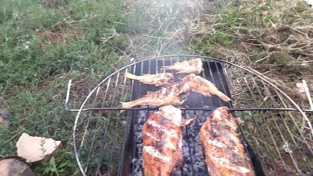 Морской окунь на мангале смотреть онлайн