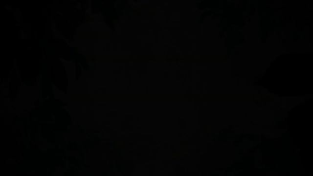 Música Relajante Curativa del Estrés, Ansiedad y Estados Depresivos Sanar Mente, Cuerpo y Alma #10 смотреть онлайн