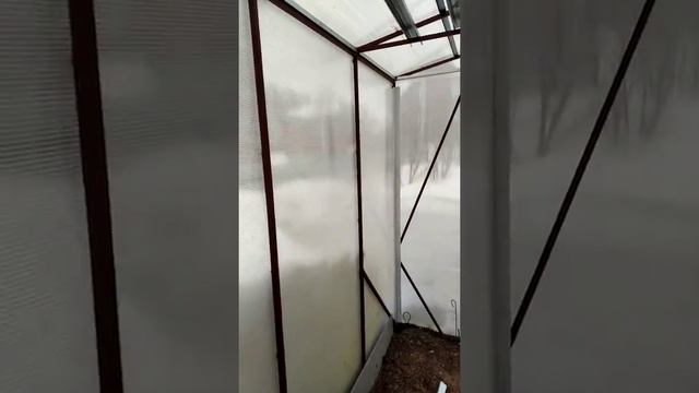 Теплица- огуречник 1 серия март2020 года смотреть онлайн