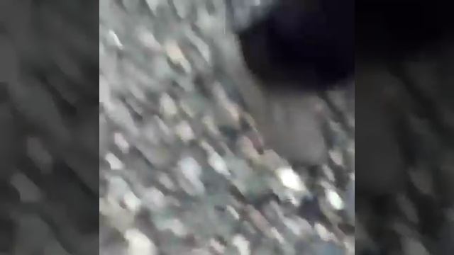 На Камчатке массово уничтожают пойманную красную рыбу смотреть онлайн