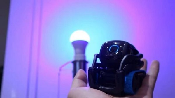 Vector Robot Vs EMO Robot - My Honest Comparison