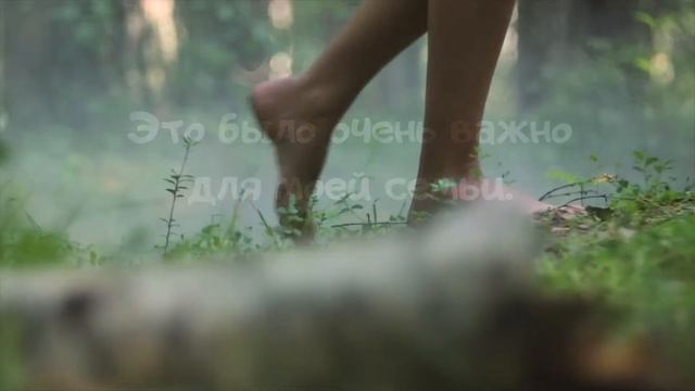 42. Особенное апельсиновое дерево. Видео перед сбором смотреть онлайн