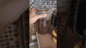Дом с флюгером: Доброе 10 марта☕️🐈⬛❤️😘
