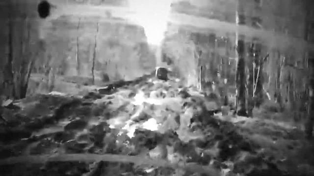 Поехали, говорили они, будет весело говорили они. Не обманули.