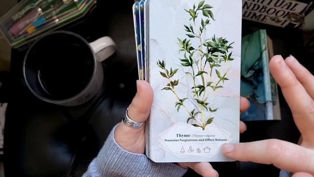 Spring Deck Reflections ✨ New, Favorites and the Problem Deck | Tarot & Oracle смотреть онлайн