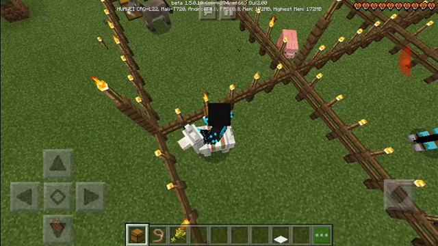 .Топ 8 животных которые можно приручить. смотреть онлайн