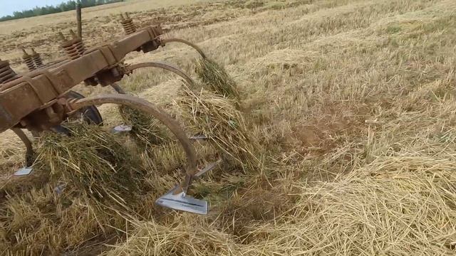 Положение дел хозяйства 02.09.2021. Обо всём, по немногу. смотреть онлайн