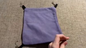 vlog: покупаю крыс! моя мечта!