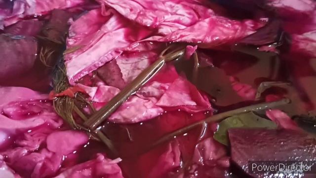 ?ХРУСТЯЩАЯ капуста по-грузински ПРАВИЛЬНАЯ КАПУСТА по гурийски✅ идеальная закуска смотреть онлайн