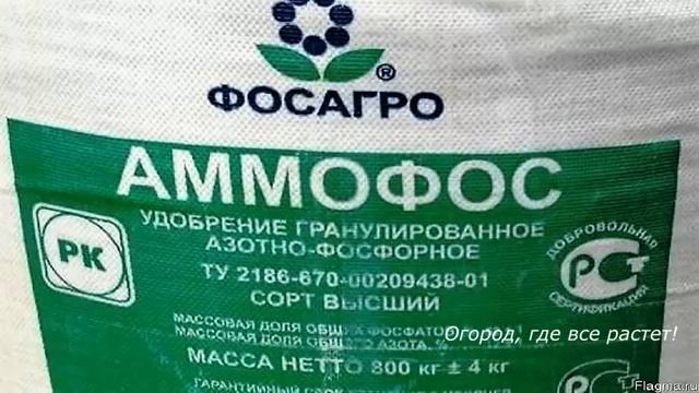 Что важно сделать для малины весной.mp4 смотреть онлайн