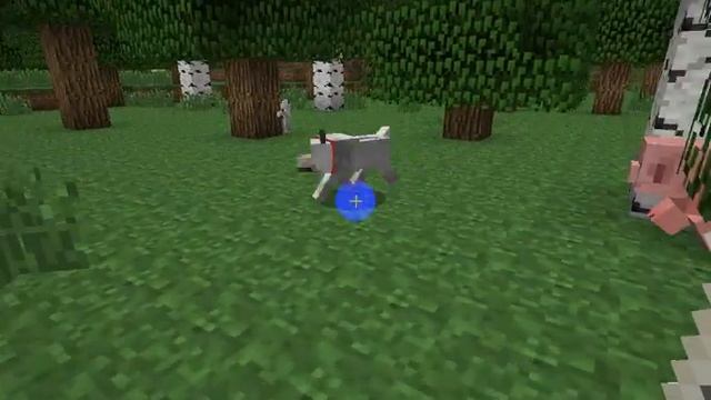 Как приручить волка в minecraft? смотреть онлайн