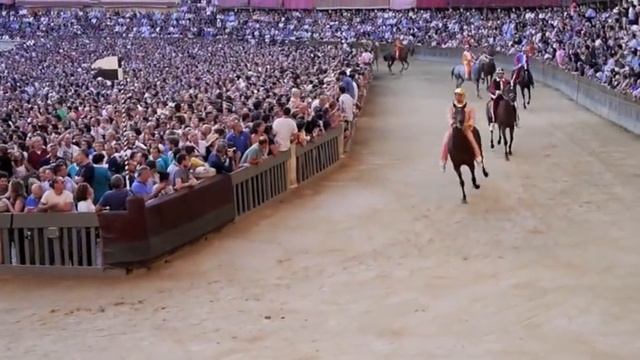 PALIO DI SIENA 2014 08