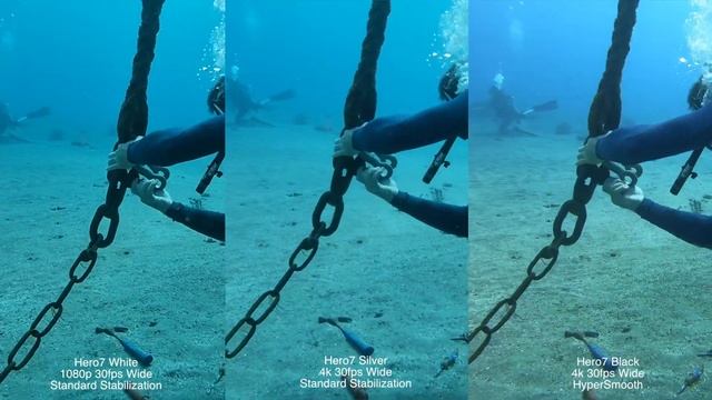 GoPro: Hero7 Black Silver White Color / Stabilization Underwater Comparison - GoPro Tip #642