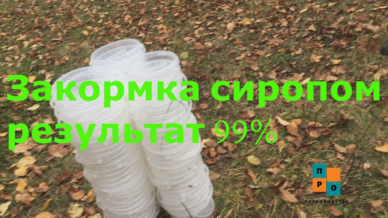 Результат закормки пчел в зиму, сахарным сиропом в ведрах. В конце итоги. смотреть онлайн