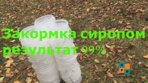 Результат закормки пчел в зиму, сахарным сиропом в ведрах. В конце итоги.