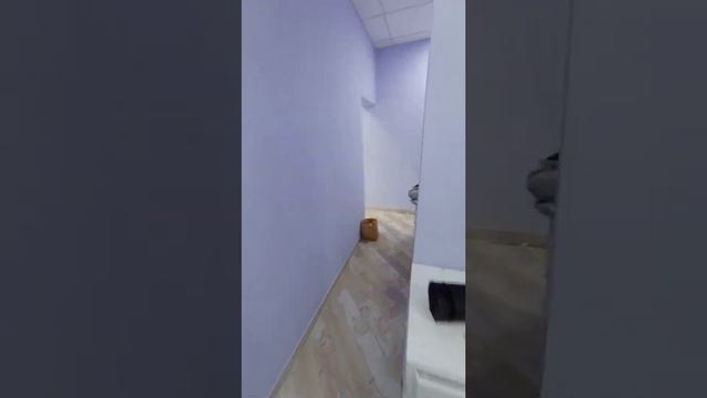 видео помещение Грибоедова 55 кв м смотреть онлайн