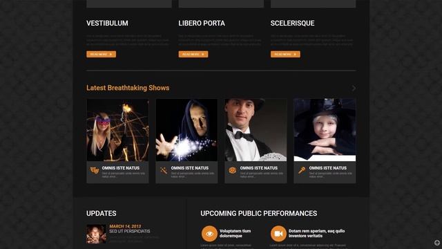 Magician Responsive WordPress Theme by WT Website Template - 52473 смотреть онлайн