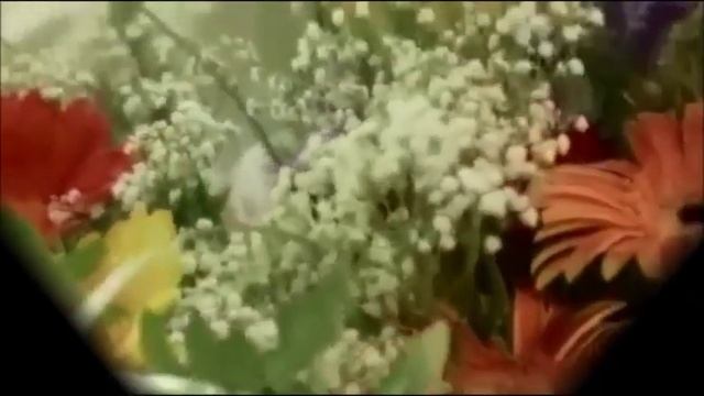 Ирина Круг - Не Жалею. Монтаж Б.Н.П. смотреть онлайн