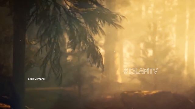 КАК ПРОРОК ДАВУД УБИЛ ГОЛИАФА И СТАЛ КОРОЛЕМ ДЕТЕЙ ИЗРАИЛЯ, И СВОИМ ЧУДОМ ПОРАЗИЛ ЧЕЛОВЕЧЕСТВО! смотреть онлайн