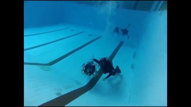 "Морская Корова". Видео-ролик. смотреть онлайн