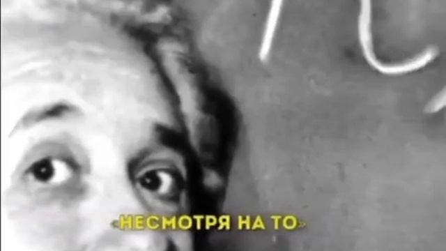 Отличный пример поведения людей от Эйнштейна… смотреть онлайн
