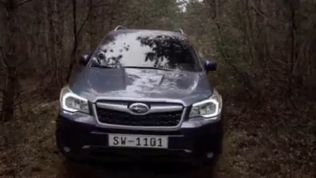 2013MY SUBARU FORESTER Promotional Video "The Chase" смотреть онлайн