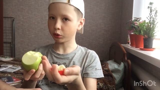 Как сделать домик террариум для мраморных тараканов смотреть онлайн