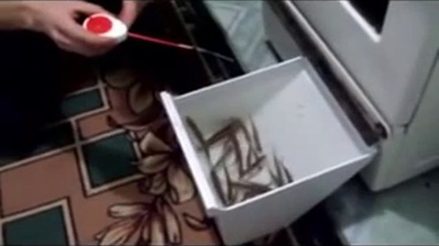 Ловим рыбу дома!! смотреть онлайн