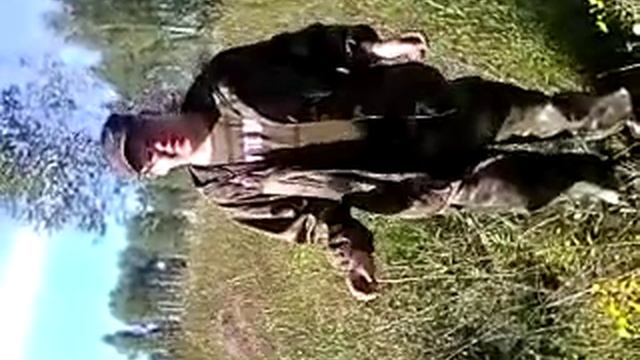 валерьянка лекарственное растение смотреть онлайн