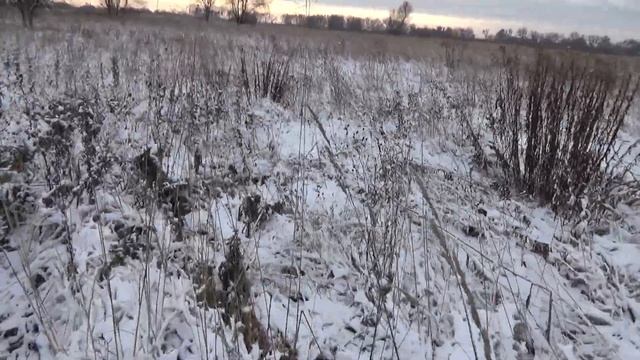 Английский лук "СРЕДНЕВЕКОВЫЙ ПУЛЕМЕТ" и игрушечный лук индейцев. смотреть онлайн