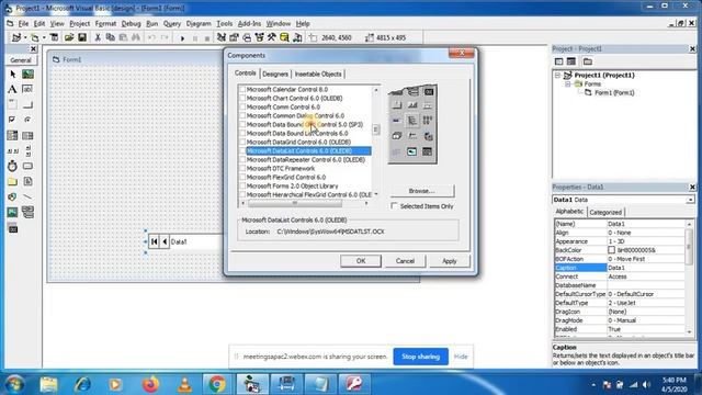 DAO Control in Visual Basic 6.0 | Computer Based Project смотреть онлайн