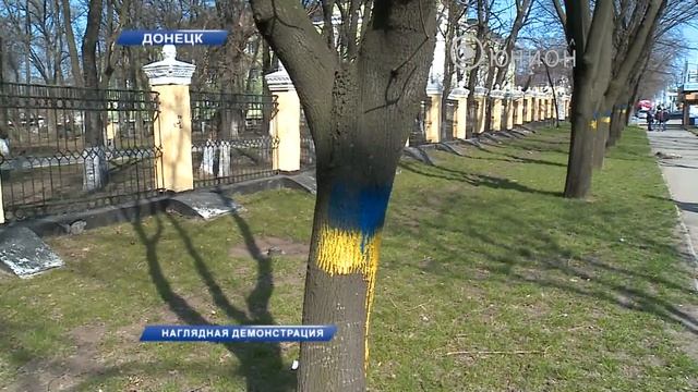 Ночью покрасили столбы и деревья