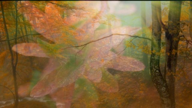 Marceline Desbordes Valmore. Promenade d'Automne. смотреть онлайн
