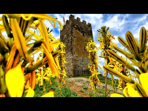 Обстановка в Крыму сегодня. Что творится с ПОГОДОЙ. Кипарисовая Аллея в Судаке. Показываю ВСЮ ПРАВДУ смотреть онлайн