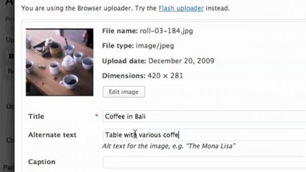 How to insert an image into a WordPress post