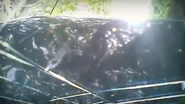 Покатушки Мариупольского форума (ДЕМОТИВАТОР) смотреть онлайн