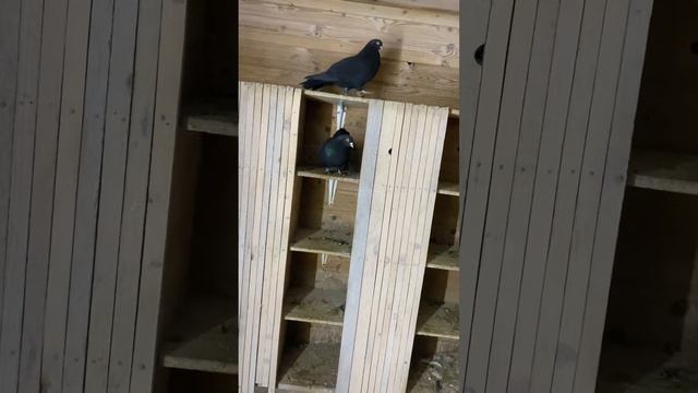 29 января 2024 г. смотреть онлайн