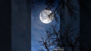 Там у зеленому саду\песня\клип.