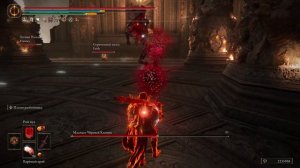 ELDEN RING_Рой мух кусает Маликета😭